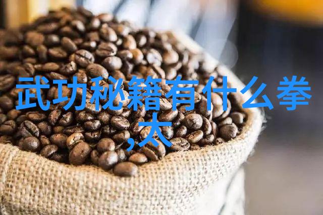 掌门人秘密会议他们在背后策划着什么