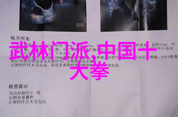 实战应用必备精通24式太极拳全套口令