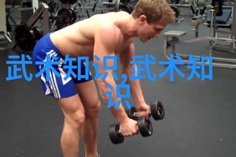 自然之声游泳池尺寸与自由泳技术的和谐共生