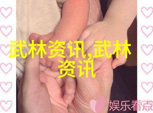 武林秘笈内家拳谱解密