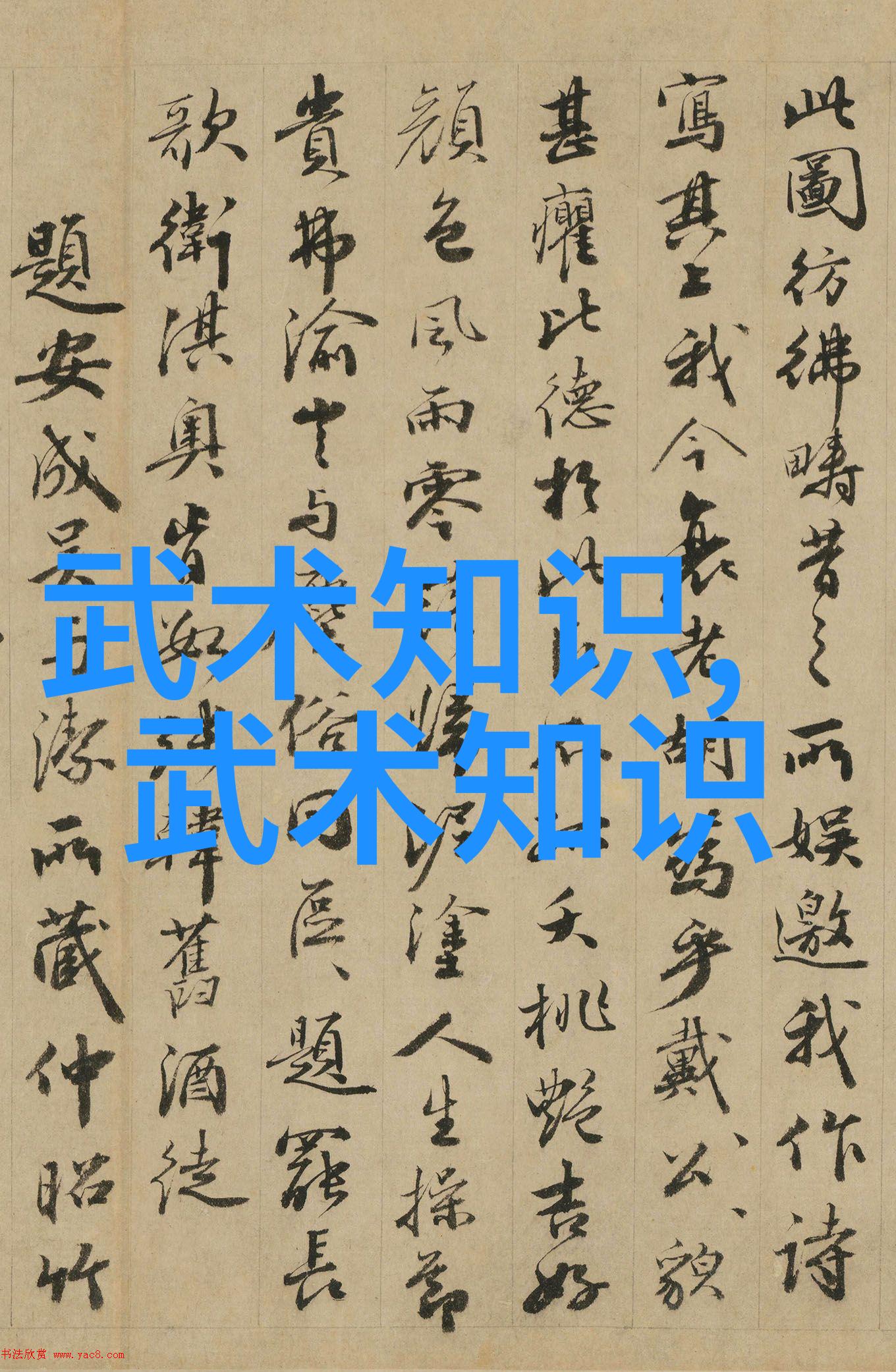 松开掤劲轻功飞跃张志明的社会练武之道