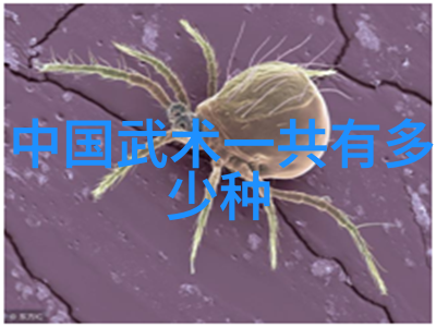 武林百家争锋哪一路修炼的功法最为高深