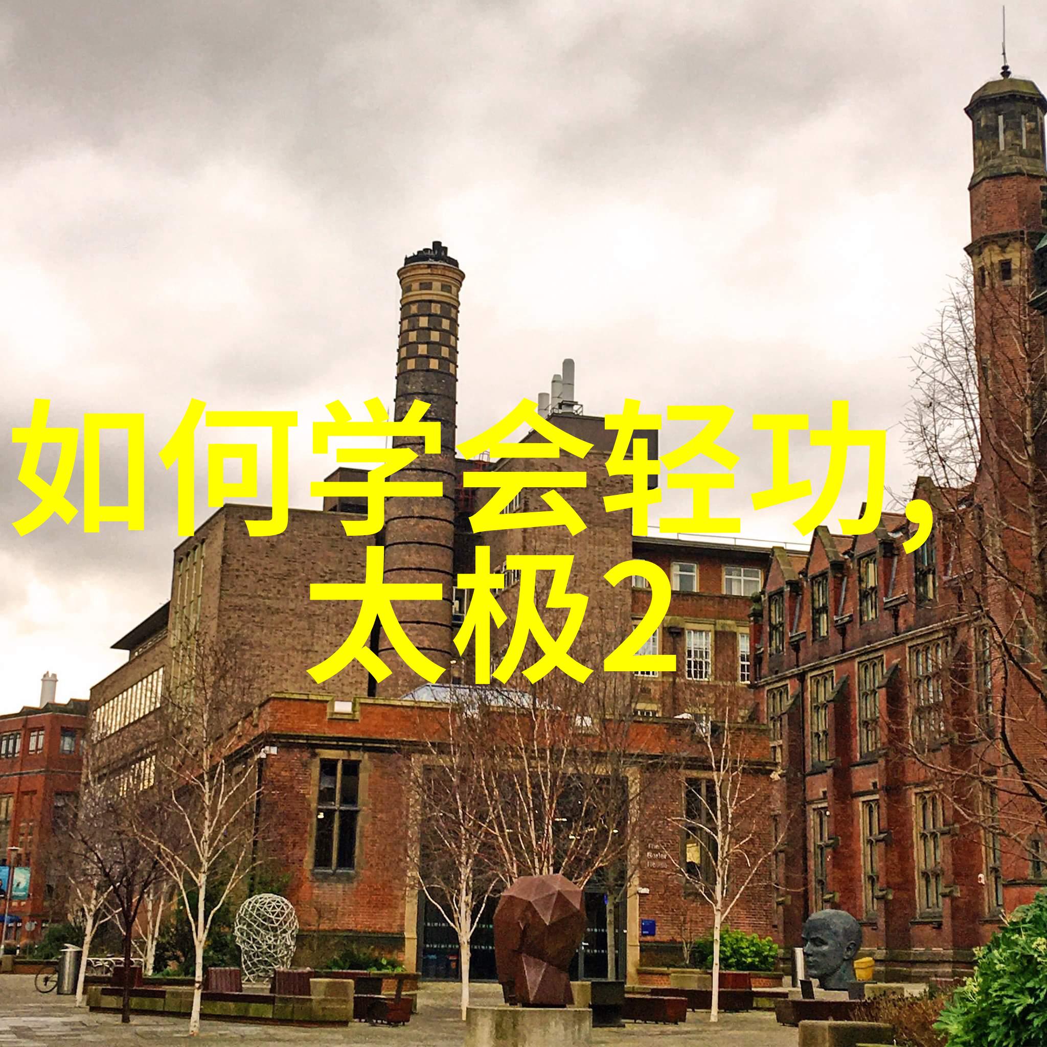中国武术-中华武林的丰富传统探索中国有哪些武术流派