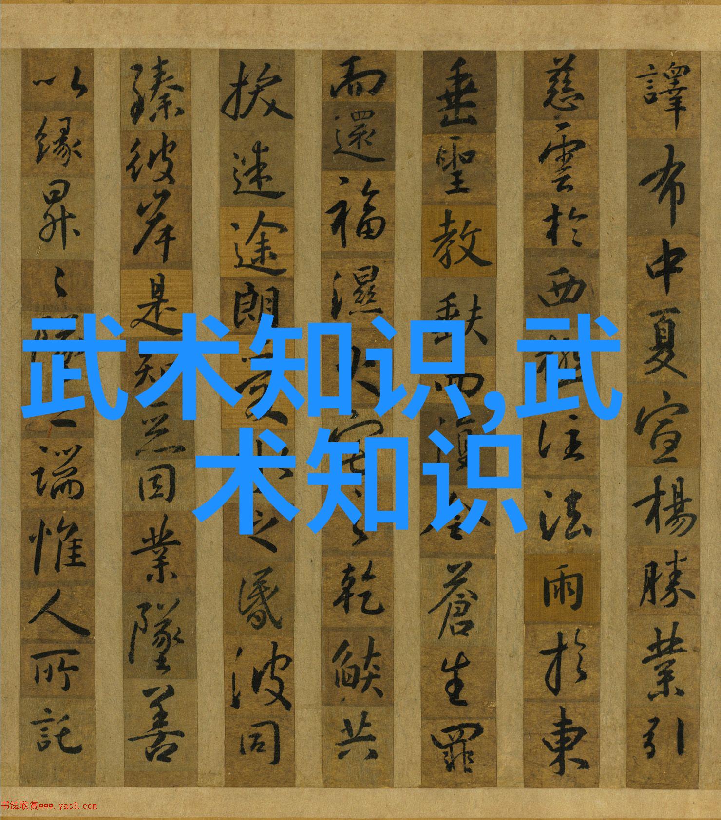 武林秘籍大全解锁古老武学的奥秘与神奇