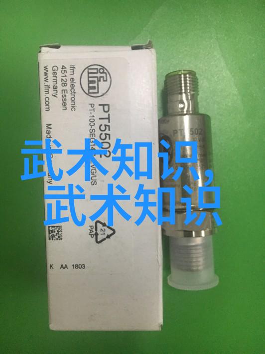武术知识深度探究传统武术史源技巧训练方法
