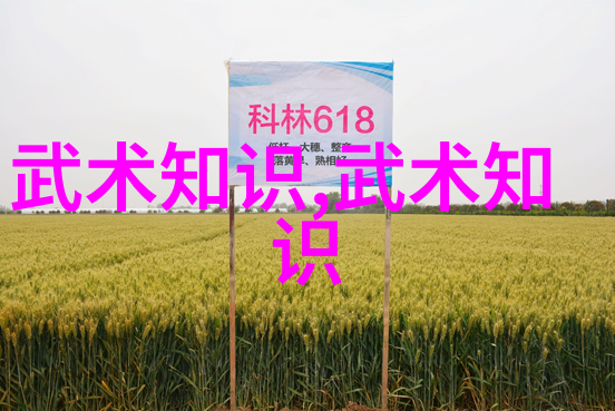 中国现在最厉害的门派我看这些年来武林大变革哪个门派还能称得上是最厉害
