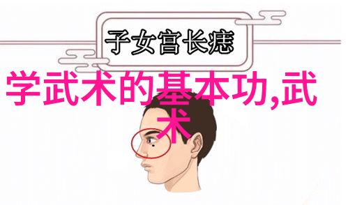 现代门派-探索当代揭秘现代门派的多样面貌