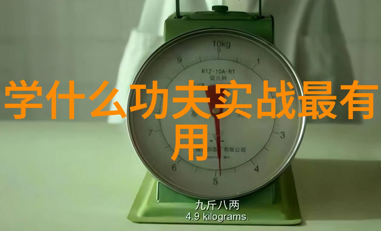 我想学功夫追求真正的杨家太极拳体验