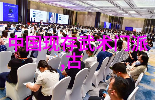 少年拳击之星小侠的武术梦想