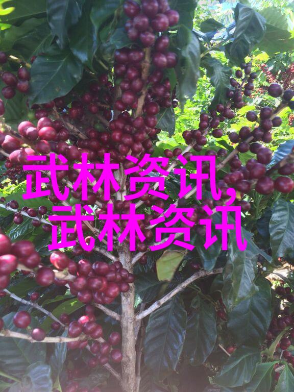 武当山的传人之路探究十五代的遗憾与传奇