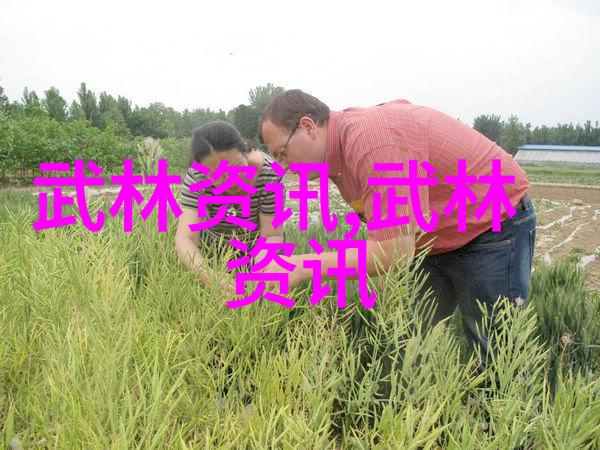 苍穹神门天界之巅