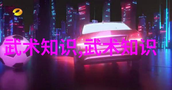 精英训练营哪些因素造就了这些传统中华武艺成为世界认可的精英训练场所
