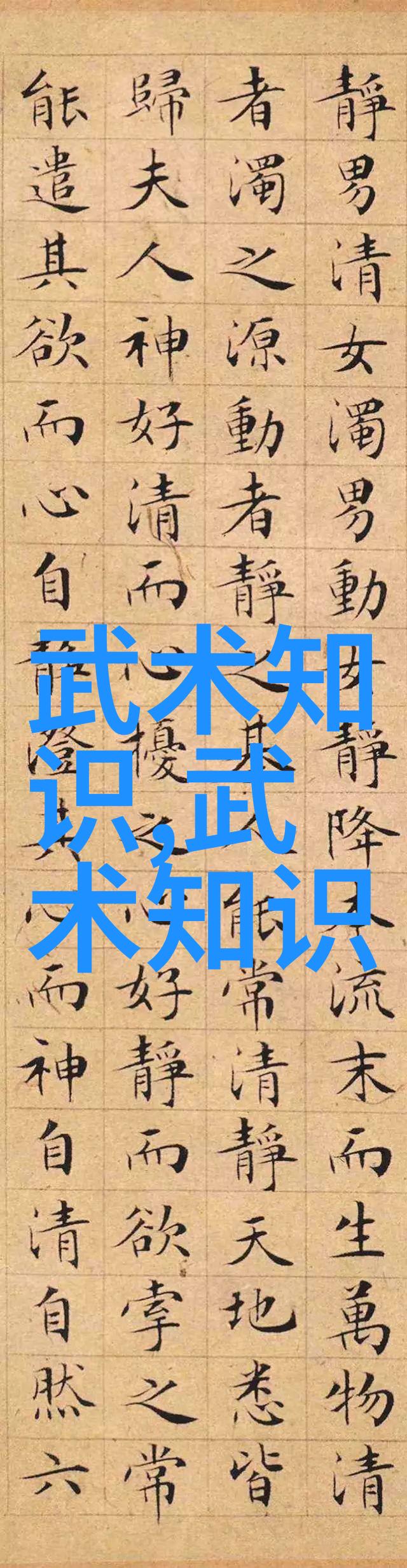 翁心诚的48式太极拳全套视频带口令练一亦是练一切如同精灵般舞动