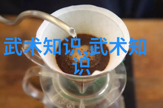 中国武功怎么练太极拳套路的核心要素王文贤解析