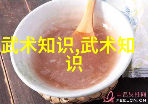 南北合流探讨现代武术融合趋势
