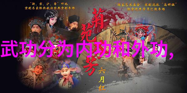 云霄家族的离合拳在社会的舞台上绽放仙气飘飘