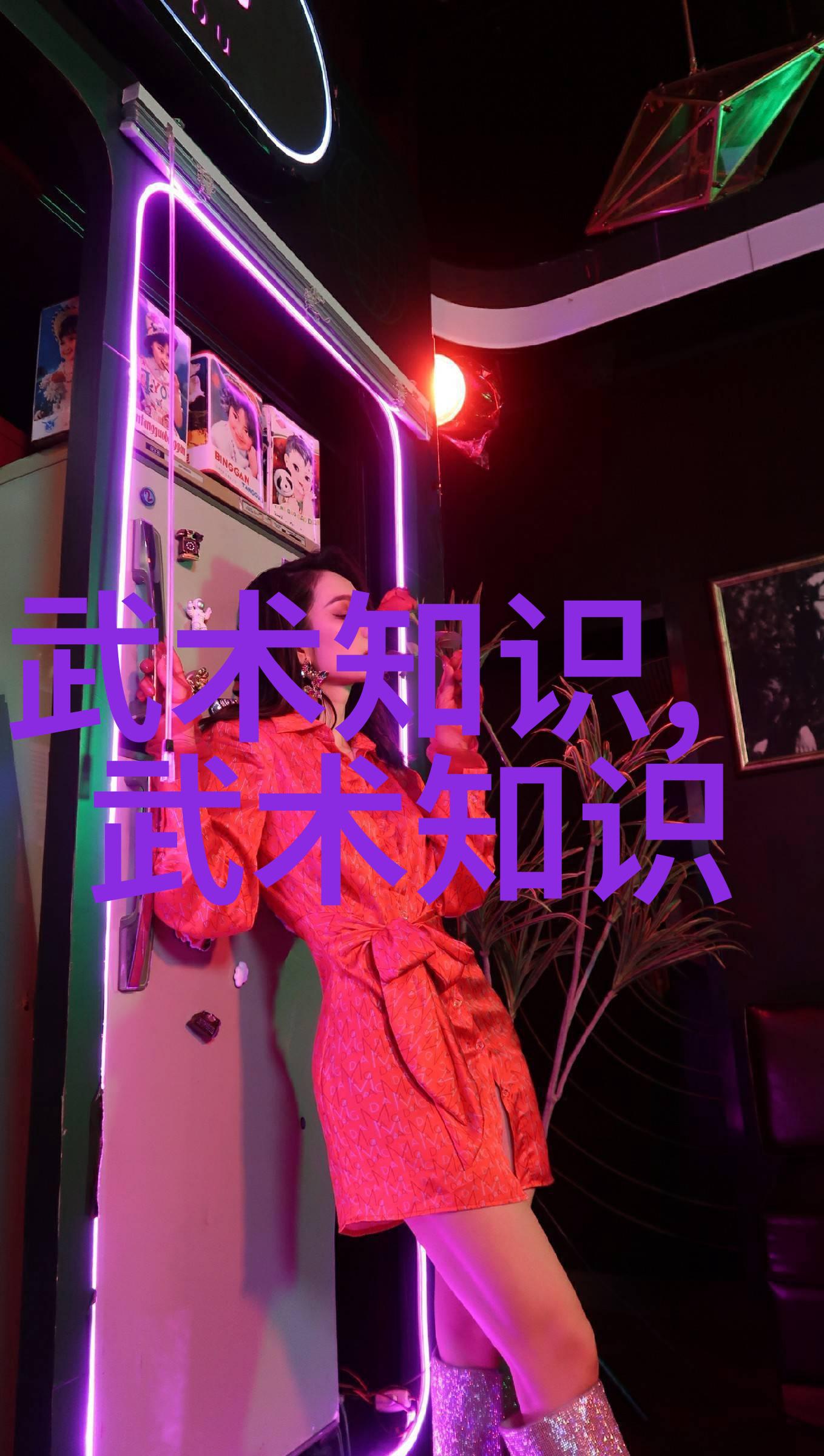 武学宝库探索中国传统武术中的名家与秘籍
