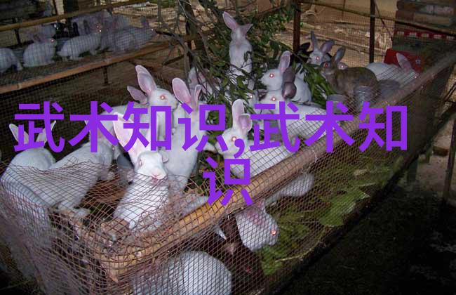 探秘仙门众派揭秘传承千年的古老门派名字