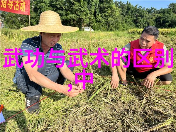 绝世武林之中国最强门派的秘密
