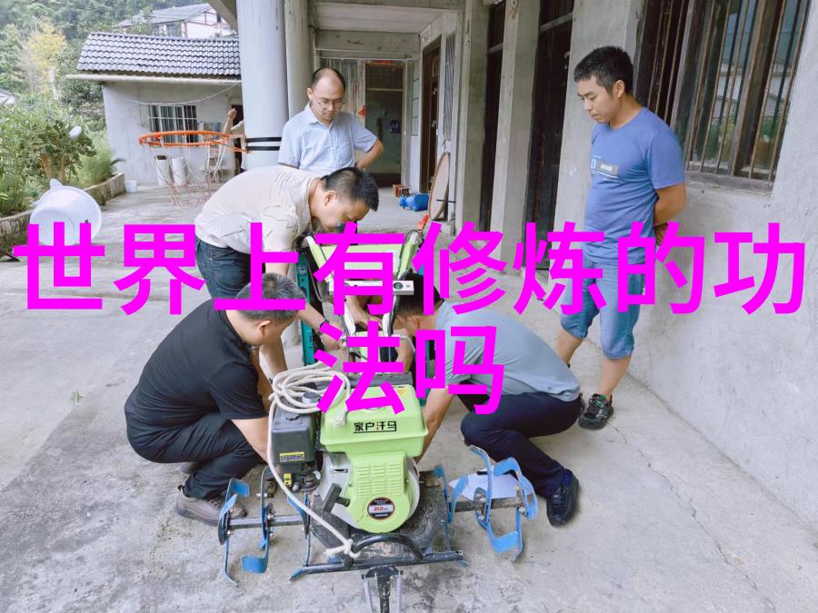 宠物离别心痛与新生活的开始
