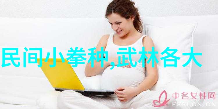 太极拳技巧探究十三式分解之美