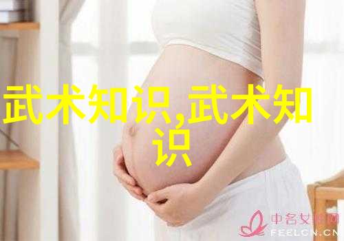武学秘籍揭秘太极拳24式自学之道