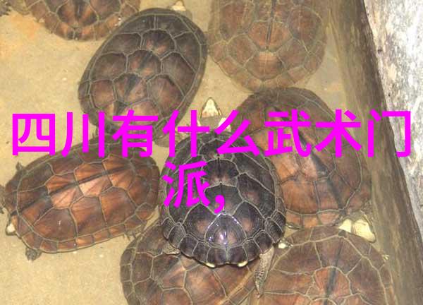 探秘中国武术揭开拳法的丰富面纱