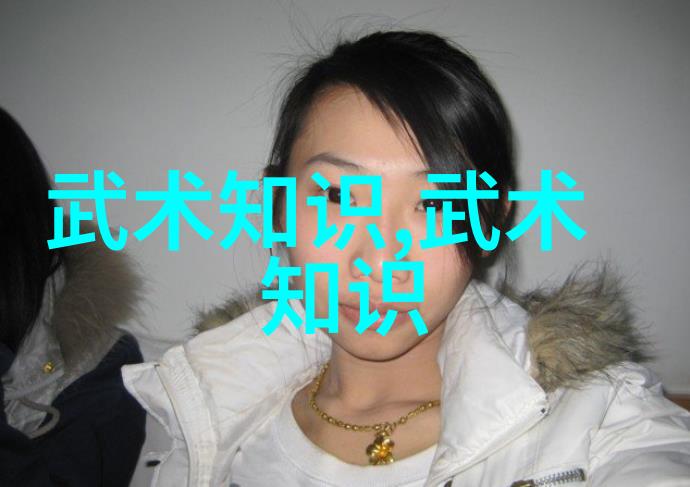 实战性最强的十大武术-打破传统揭秘世界上实战性最为强劲的十门武术