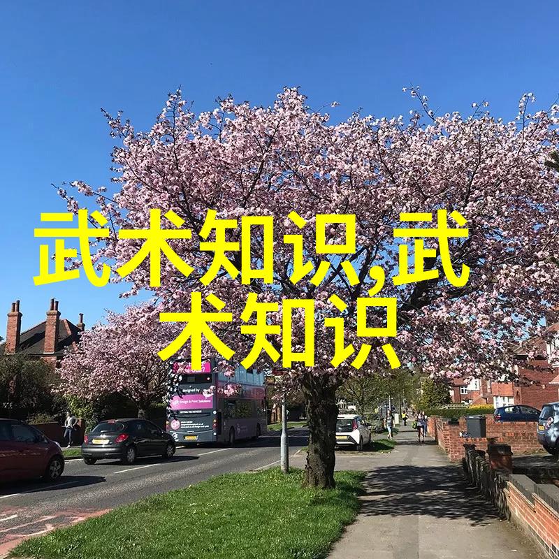 武当山十五代传人秘籍揭开中华武学宝库的神秘面纱
