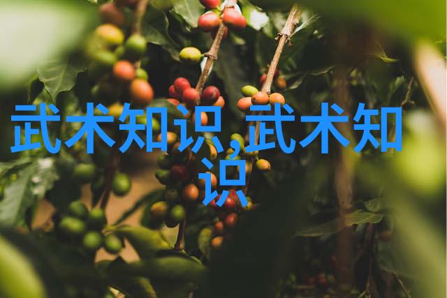 如何避免在学习功夫过程中受伤或出现过度劳累的情况