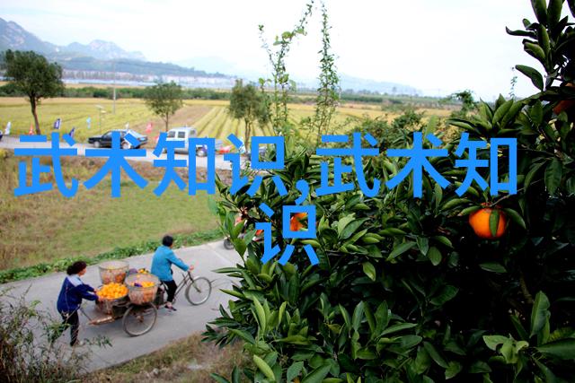 武林十大门派名字-江湖中最具影响力的十家武学大家族