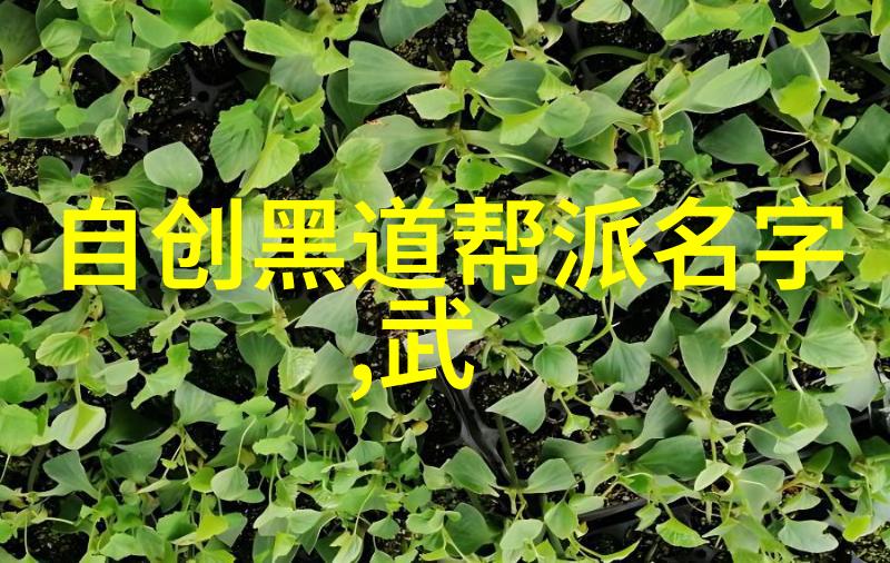 什么是武林中的一剑流派