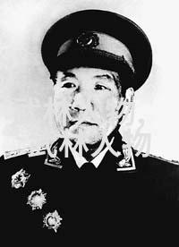 青云帮自然之炮拳