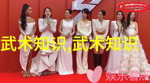 掌握拳法精髓拳法十六招式图解详解与实战技巧