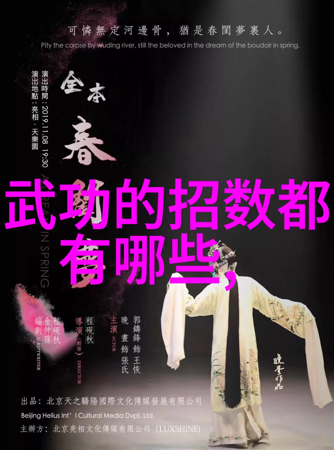 中国武术实战技巧中国最有实战性的功夫