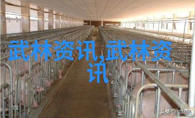 武林十大门派名字-江湖荣耀揭秘武林十大门派的传统与辉煌