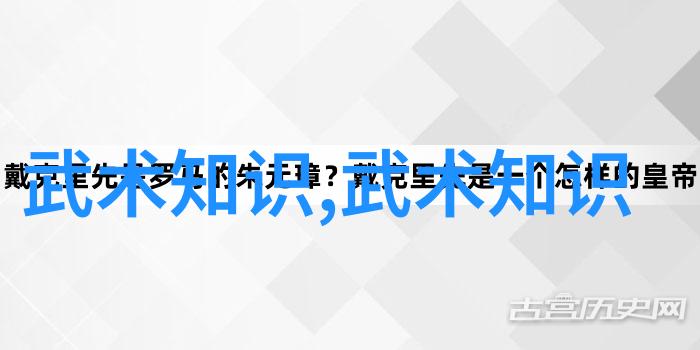江湖风云录笑傲江湖的剑影