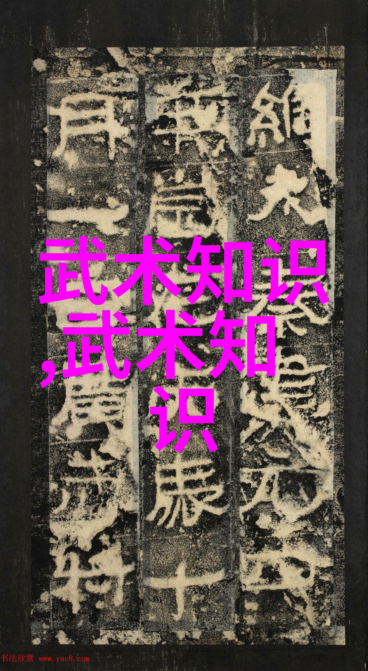 大名府内家拳宛若诗意公会中的流金泼墨
