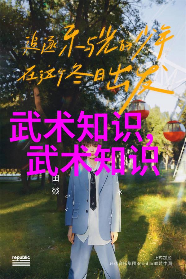 南北方武学之争唐手与陈家太极的对比