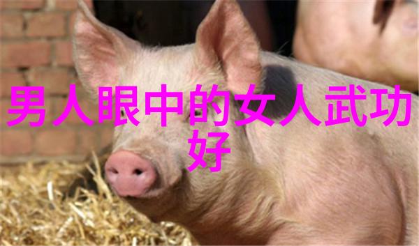 幻想世界中的神秘宗门探秘