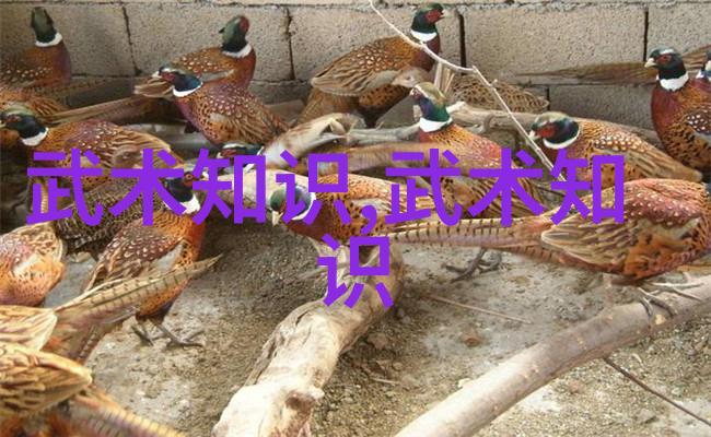 新华医疗器械一天多少个握力器算好