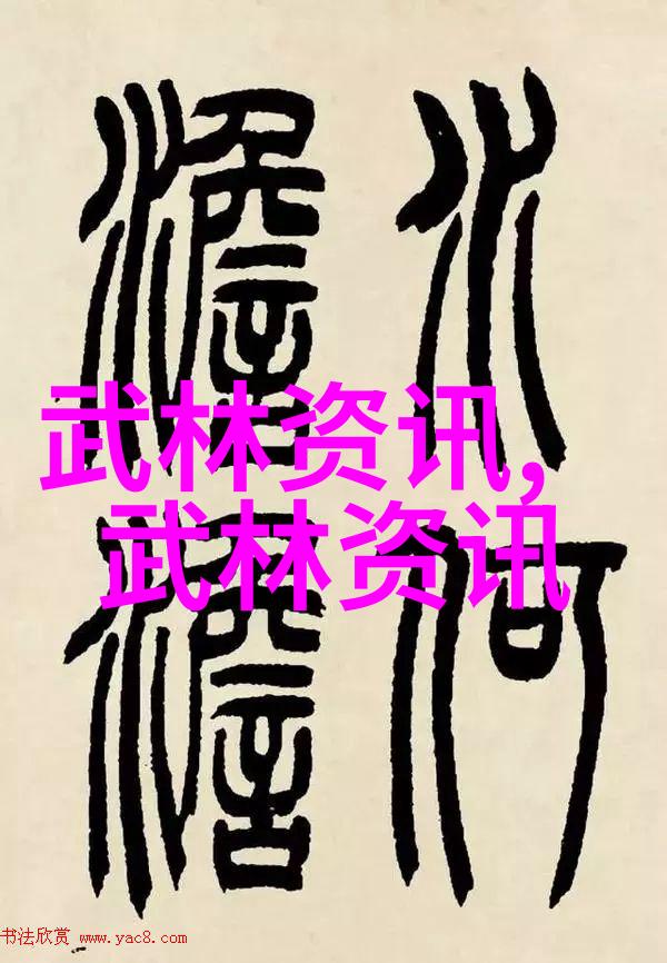 揭秘48式太极拳全套视频带口令解锁传统武术的奥秘与实践