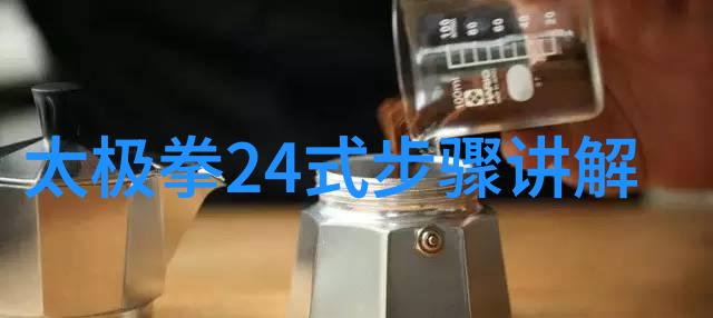 太极拳24式自学图解-掌握太极古法轻松入门24式基本招式