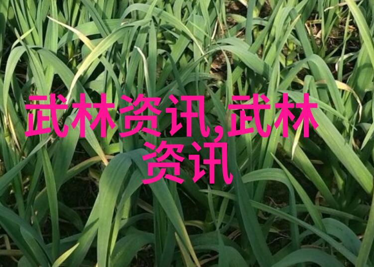影藏在云雾中的全真龙门新星