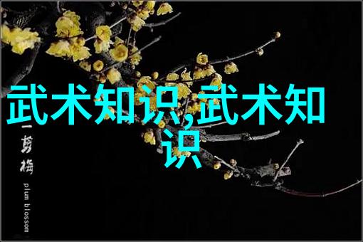 武林秘籍大全揭秘太极拳推手与防身大师的高级技巧