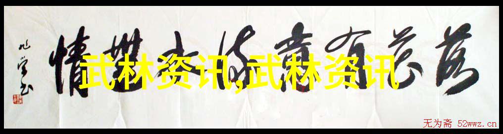 家庭健身与武术结合之道如何将日常锻炼融入到自己的生活中去