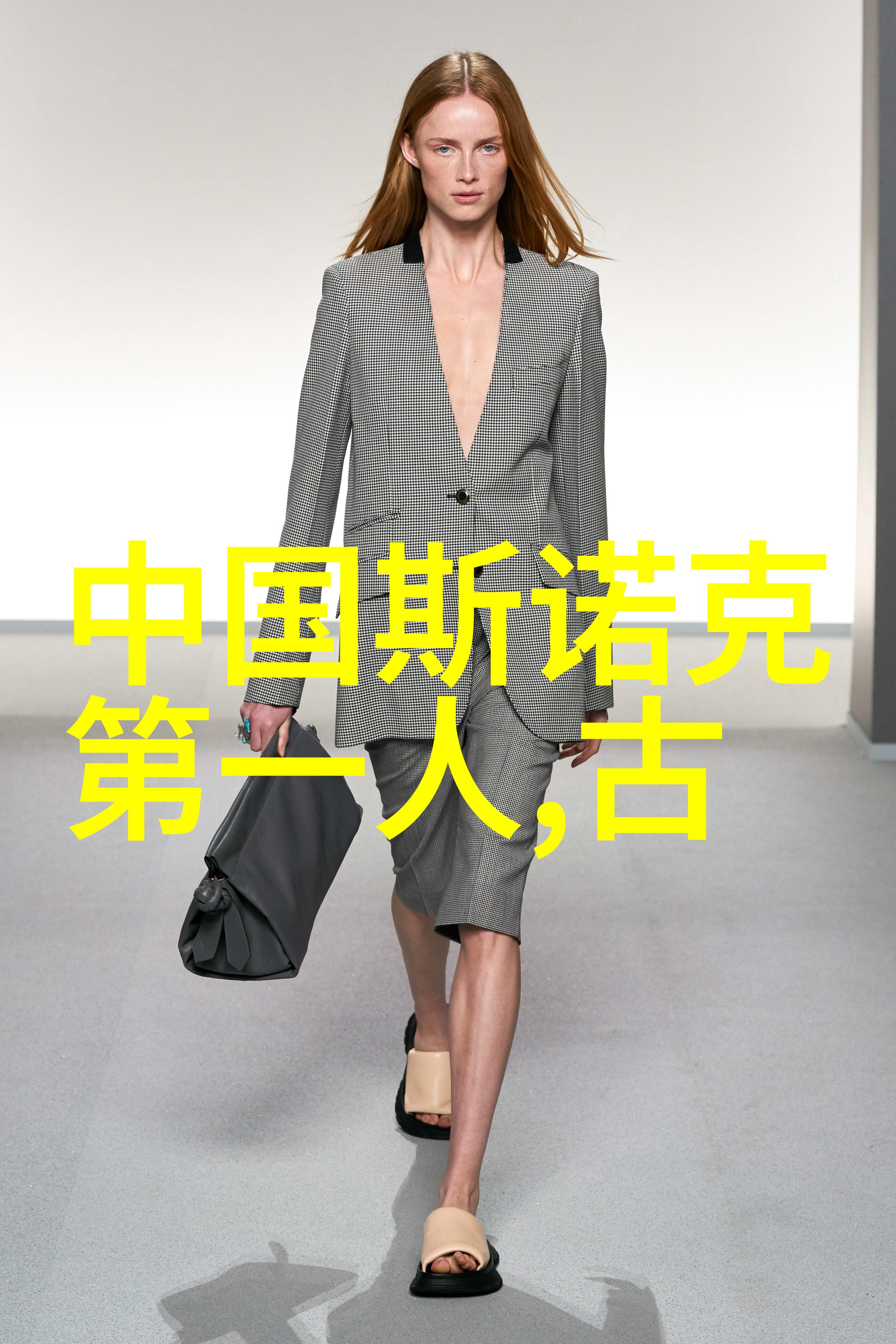 拳击儿媳维克-达奇尼安的精彩资料