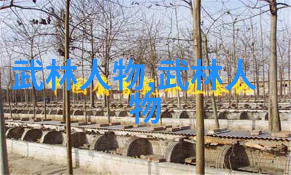 CBA总决赛的治愈系篮球赛制规则又是怎样的(2021年CBA总决赛规则探秘)