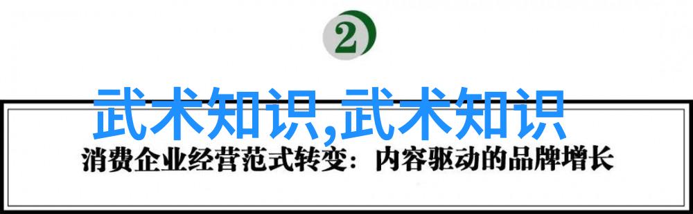 中国武术门派的过气捶反复探索未被重视的拳种秘密