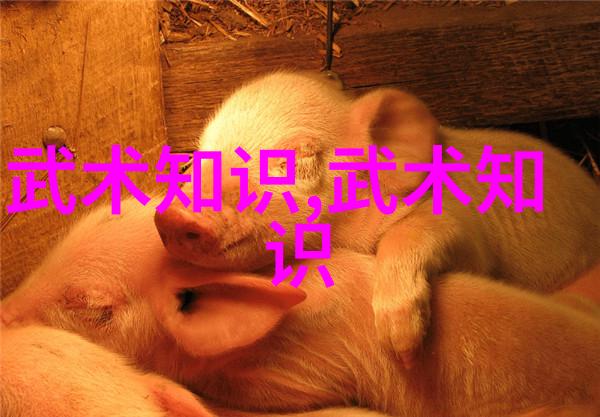 幽冥门腾挪架太极拳谱中最为神秘的武学之术